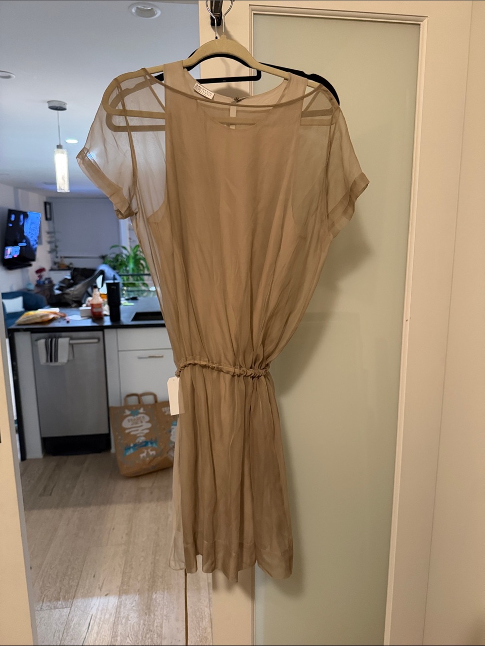 Brunello Cucinelli Sheer Taupe Short-Sleeve Cinched-Waist Dress